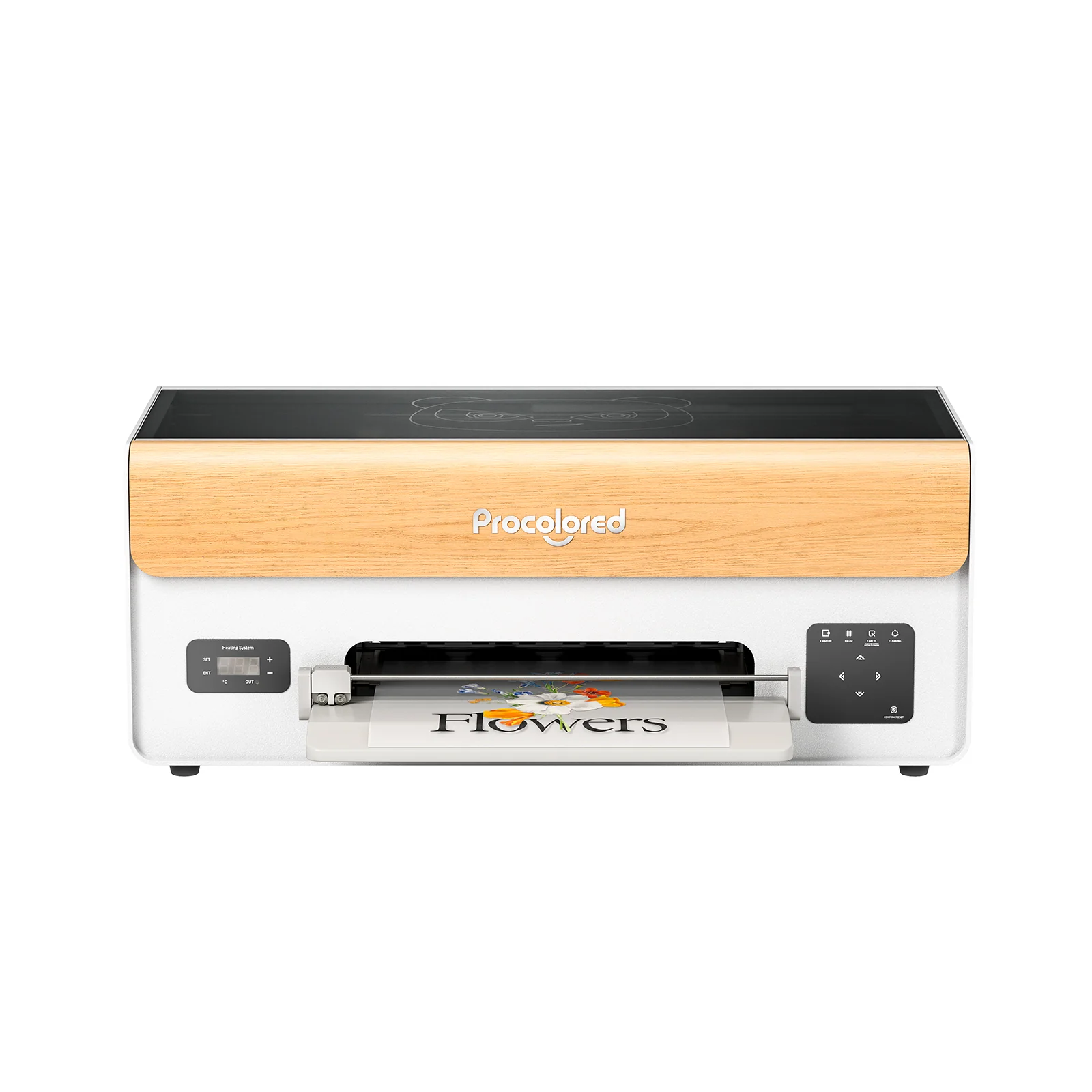 Procolored P13 DTF Printer 13" A3 XP600 & Oven - Image 5